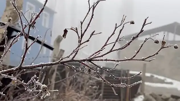 Ağrı'da hava bi sıcak bi soğuk