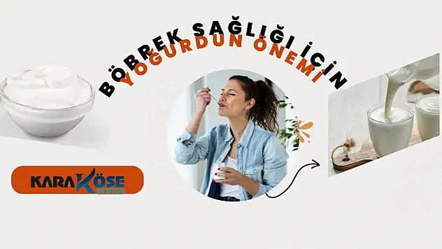 Böbrek Sağlığı İçin Yoğurdun Önemi