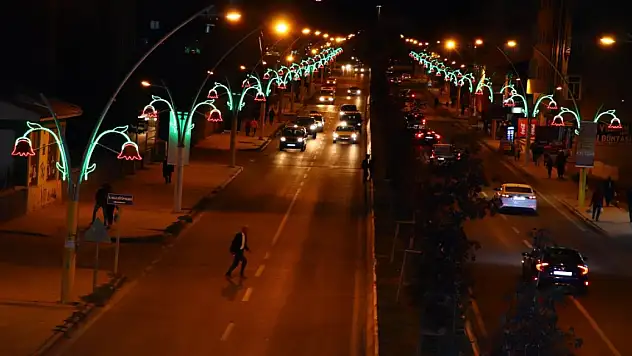 Ağrı'da araç mı fazla, Yollar mı dar?