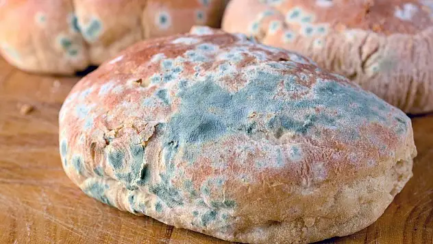 Rüyada küflenmiş ekmek görmek ne demek?