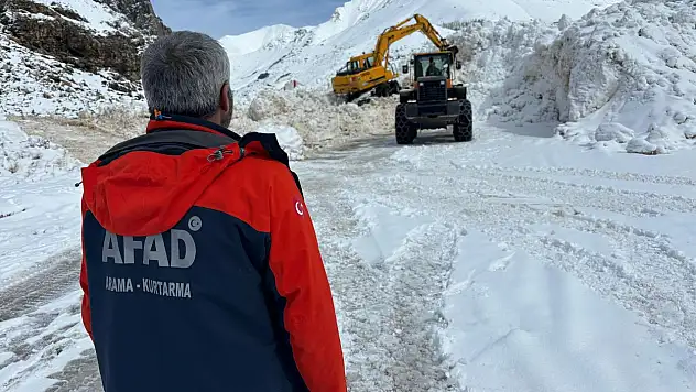 Van'da yetkililer çığ bölgesinde inceleme yaptı