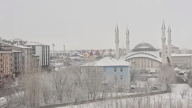 Ağrı'da Mart Karı hayatı olumsuz etkiledi