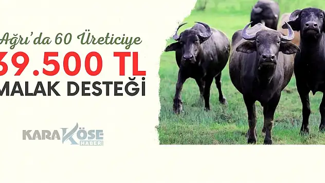 Ağrı'da 60 Üreticiye 39.500 TL Malak Desteği