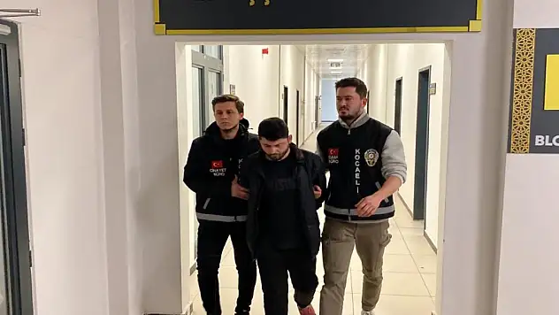 Abisini boğazını keserek öldürdü