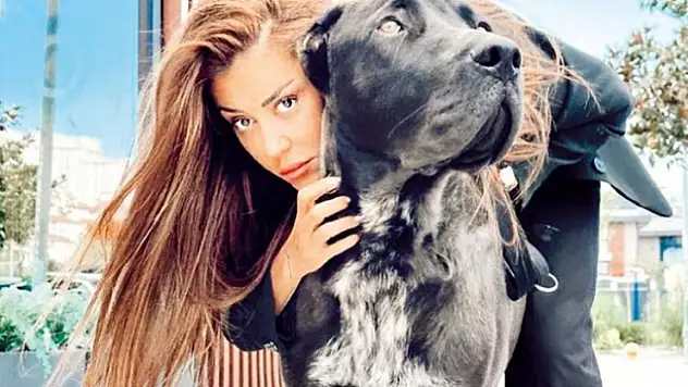 Banu Parlak Adliyeyi Neden Birbirine Kattı? Olayı Nedir?