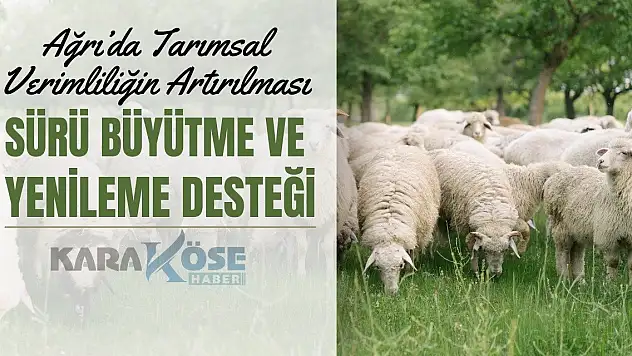 Ağrı'da Tarımsal Verimliliğin Artırılması: Sürü Büyütme ve Yenileme Desteği