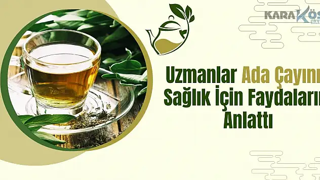 Uzmanından Ada Çayının Sağlık İçin Faydaları