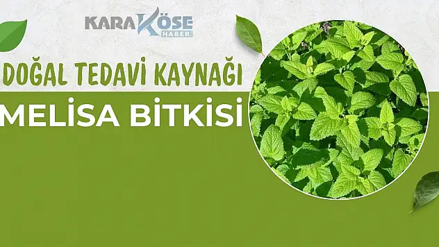 Doğal Tedavi Kaynağı: Melisa Bitkisi