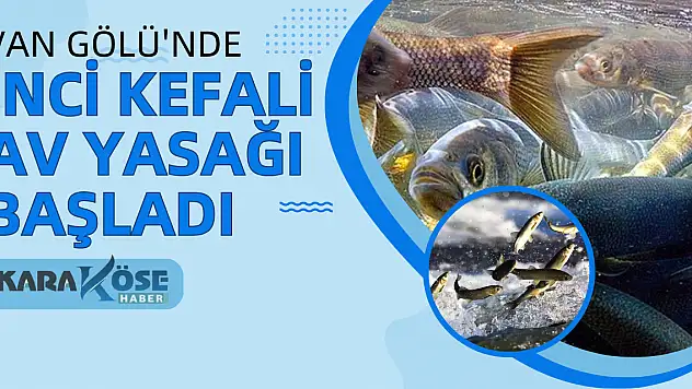 Van Gölü'nde İnci Kefali Av Yasağı Başladı