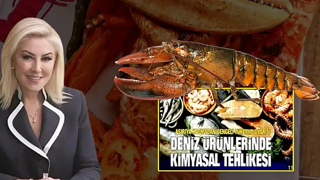 Şebnem Bursalı ıstakoz olayı nedir?