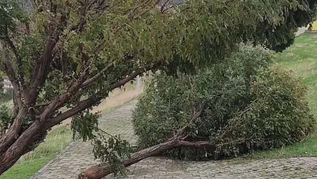 Meteorolojiden kuvvetli rüzgâr uyarısı