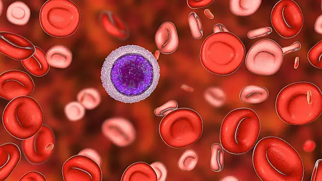 Hemofili nedir, belirtileri nelerdir?