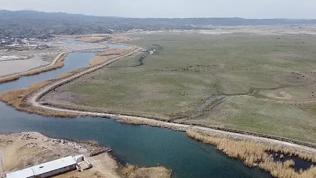 Ağrı Dağı Milli Parkı'ndaki Doğal Yaşamın Büyüleyici Görüntüleri