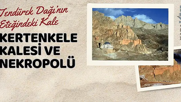 Tendürek Dağı'nın Eteğindeki Kale: Kertenkele Kalesi ve Nekropolü