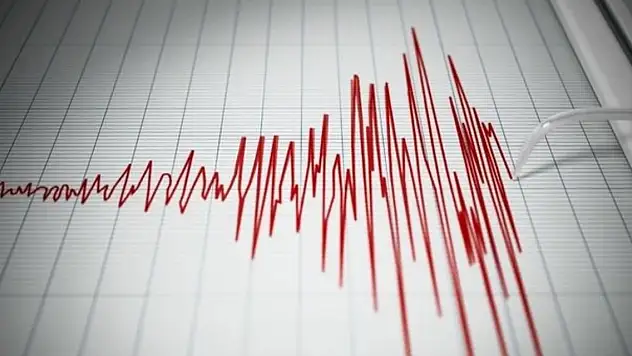 Komşudaki deprem Ağrı'yı salladı