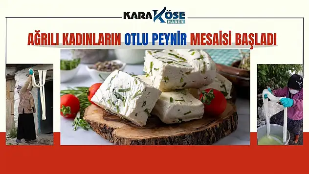 Ağrılı Kadınların Otlu Peynir Mesaisi Başladı