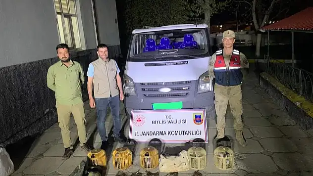 Bitlis'te keklik avlayan 2 kişiye 63 bin lira para cezası uygulandı