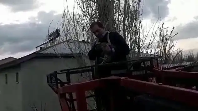 Ağaçta mahsur kalan kediyi itfaiye ekibi kurtardı