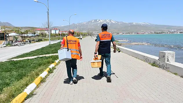 Tatvan Belediyesi Sokak Hayvanlarının Sağlığı İçin Aşılama Çalışmalarını Sürdürüyor