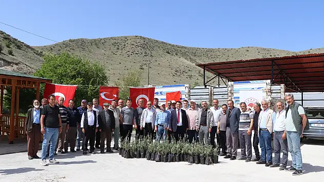 Çiftçiye zeytin fidanı desteği