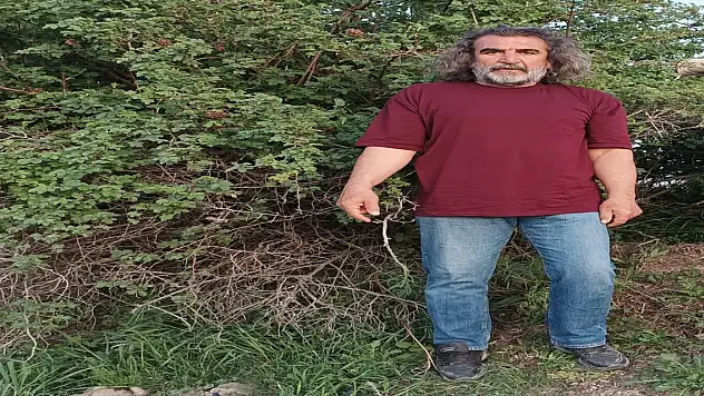 Ağrılılara doğayı bozmayın uyarısı