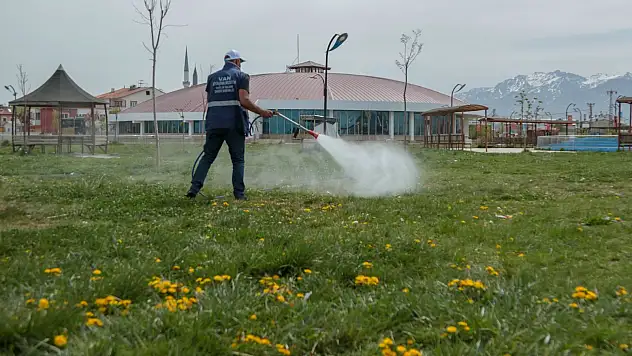 Van Büyükşehir Belediyesi ilaçlama çalışmalarını sürdürüyor