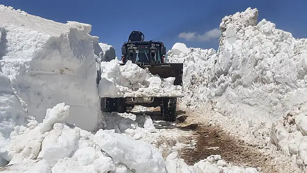 Tortum Belediyesi, Serdarlı ve Dikmen Mahalle Yaylalarını Ulaşıma Açıyor!