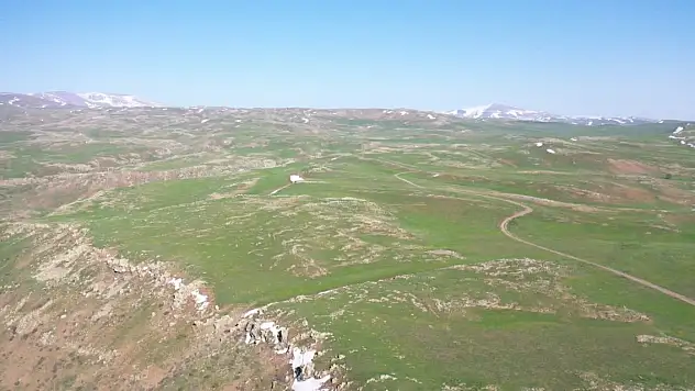 Ağrı'da yaylalar göçerleri bekliyor