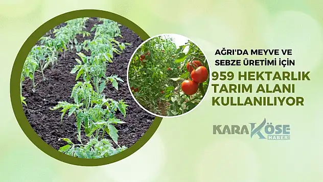 Ağrı'da Meyve ve Sebze Üretimi İçin 959 Hektarlık Tarım Alanı Kullanılıyor