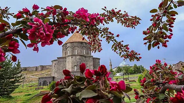 Bahar çiçekleri Kars'ı süsledi