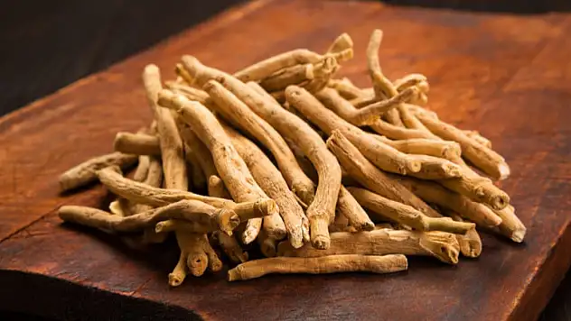 Ashwagandha Türkiye'de Neden Yasak?
