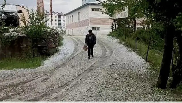 Hizan'da dolu yağışı hayatı olumsuz etkiledi