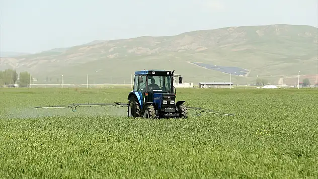 Bu yıl etkili olan yağışlar tarımda verim beklentisini yükseltti