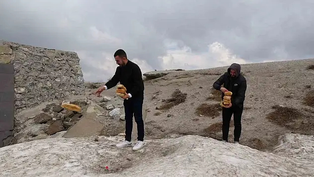 Hayvan severler Nemrut'taki yabani hayvanlar unutmadı