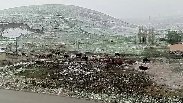 Erzurum'da yağan kar vatandaşları şaşkına uğrattı