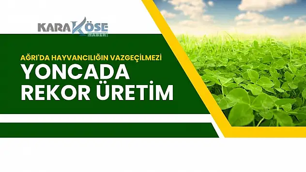 Ağrı'da Hayvancılığın Vazgeçilmezi Yoncada Rekor Üretim