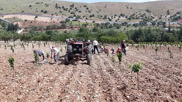 Günde bin 500 liraya çalışacak işçi bulunamıyor