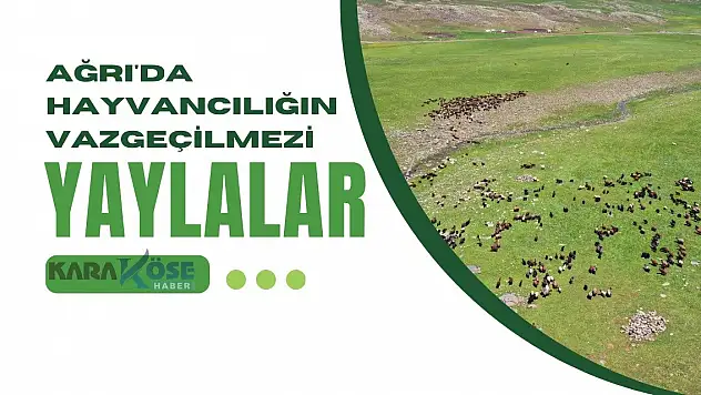 Ağrı'da Hayvancılığın Vazgeçilmezi Yaylalar