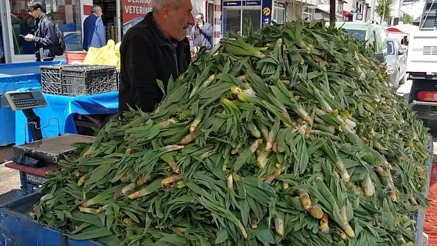 Ağrı'da topluyorlar il dışına satıyorlar