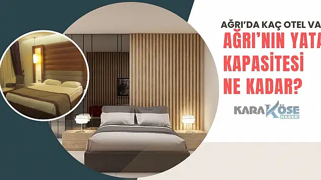 Ağrı'da kaç otel var? Ağrı'nın yatak kapasitesi ne kadar?
