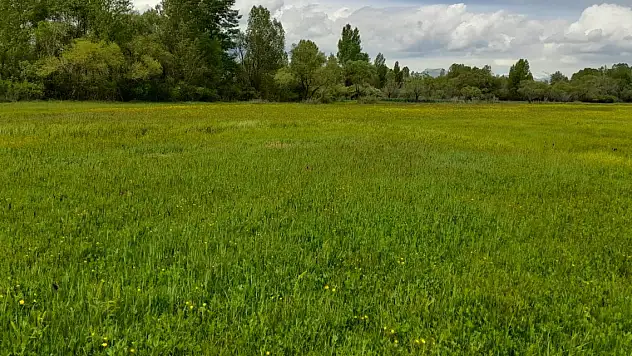 Yağmurun Ardından Doğa Renk Cümbüşüne Döndü
