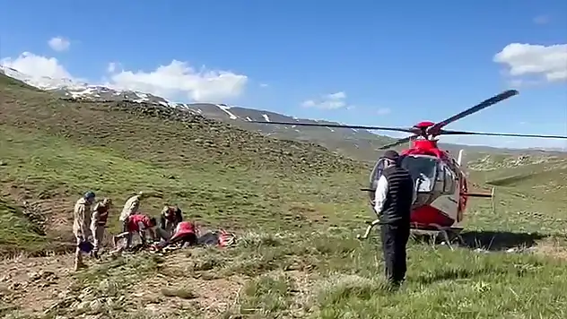 Van'da mantar toplarken düştü, helikopterle hastaneye ulaştırıldı