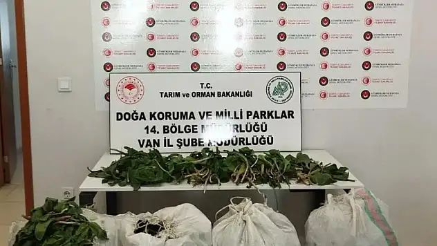 İran uyruklu 1 kişiye 387 bin 141 lira ceza