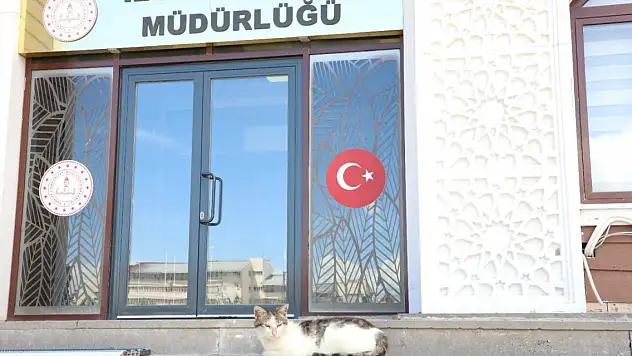 Ağrı Milli Eğitim Müdürlüğünün Yeni Maskotu: 'Eğitimci' İsimli Kedi