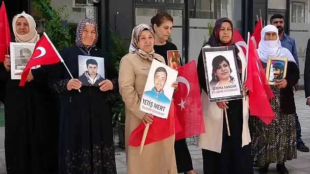 Van'da evladı kaçırılan anne: 'O ceza Selahattin Demirtaş'a azdır'