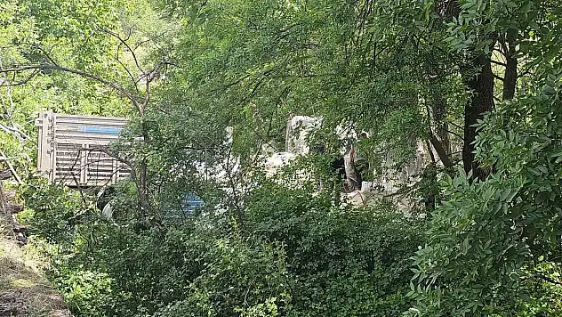 Erzurum'da freni boşalan kamyon nehire uçtu