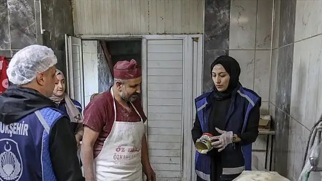 Van'da fırın ve tandırevleri denetledi