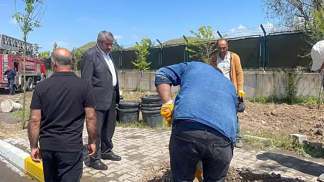 Patnos'a her köşe başına ağaç dikiliyor