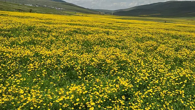 Erzurum'un zirvesinde görsel şölen