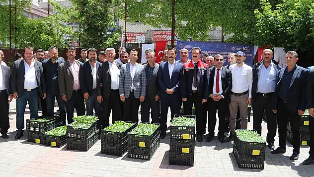 Bitlis'te çiftçiye 21 bin sebze fidesi dağıtıldı